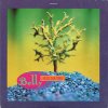 Belly - Feed The Tree