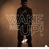 Avicii - Wake Me Up!
