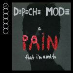 Depeche Mode - A Pain that I'm used to