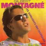 Gilbert Montagné - Les Sunlights des Tropiques