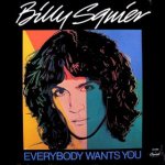 Billy Squier - Everybody Wants You