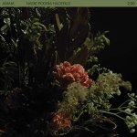 Amaia - Nadie podría hacerlo
