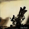 Kate Bush - Cloudbusting