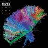 Muse - Supremacy
